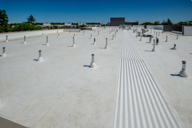 Best Roof Insulation Installation  in Harmony Grove, CA